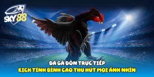 Đá Gà Đòn Trực Tiếp Sky88