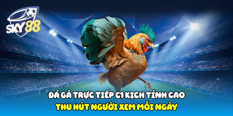 Đá Gà Trực Tiếp C1