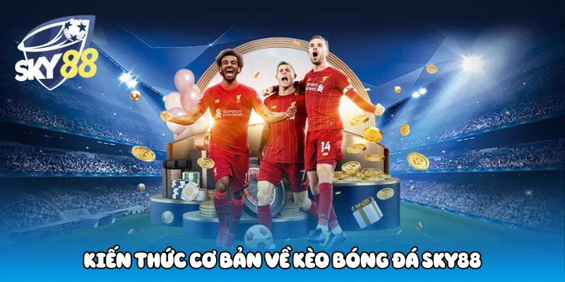 Kiến Thức Cơ Bản Về Kèo Bóng Đá Sky88