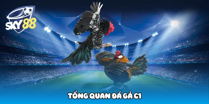 Tổng quan đá gà C1