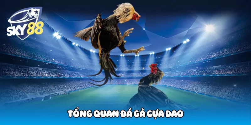 Tổng quan đá gà cựa dao
